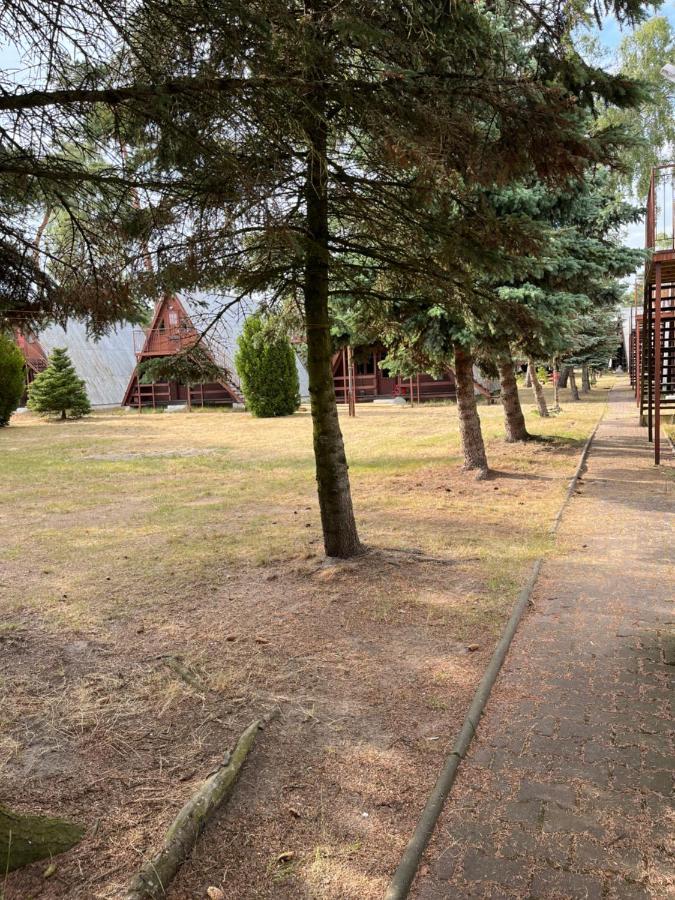 Villa Sloneczna Osada Dziwnówek Exterior foto